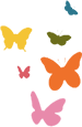 butterflies